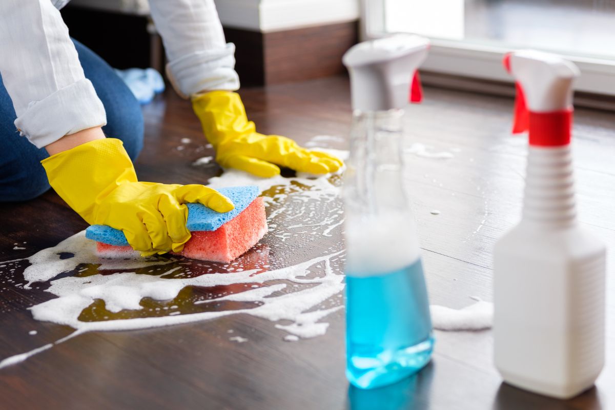 Daily Cleaning & Hygiene